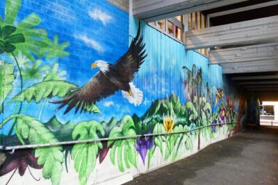 1,5 hour private guided Mural Street Art tour in Arnhem - Where you start (and why it matters)