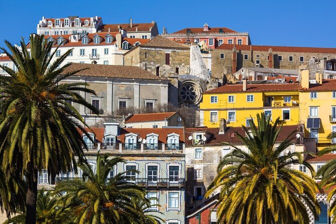 3-Hour Guided Street Art Walking Tour of Lisbon - Key things you’ll notice right away