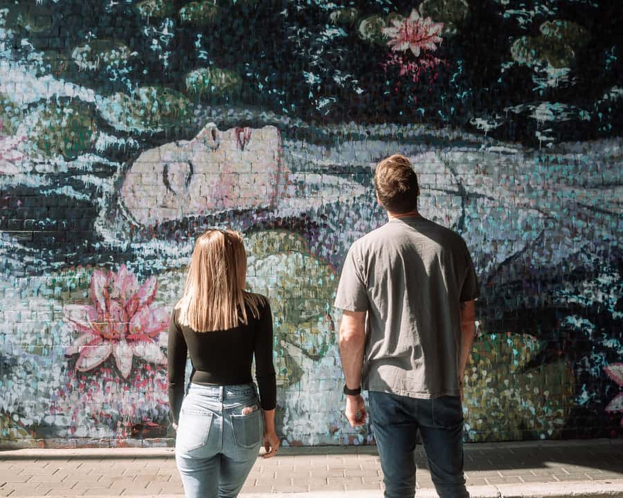 Adelaide: Paint and Palate Street Art Tour - Key points you’ll care about