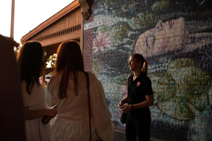 Adelaide: Paint and Palate Street Art Tour - Other local artists: why the tour doesn’t feel single-note