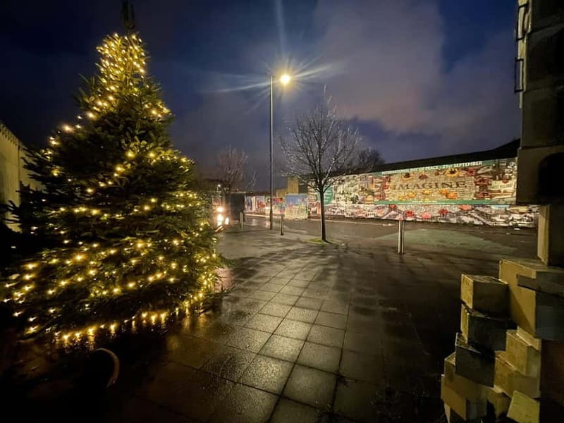Belfast: Peace Wall & Mural Tour - Why Belfast’s peace walls still shape daily life