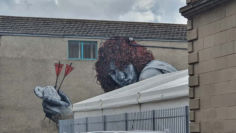 Belfast Troubles : Murals, Street Art, and Peace Wall Tour - Price and value: is $35 really worth it?