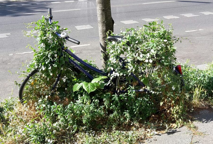 Berlin: Street Art and Alternative Tour - Price and Value: Is $31 Fair for 3 Hours?