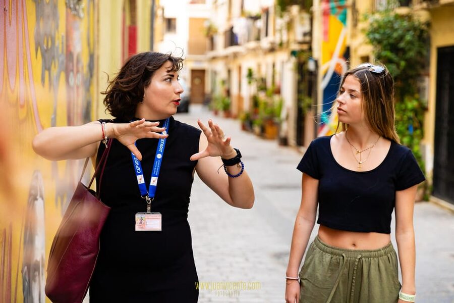Best Street Art in Valencia Walking Tour - Who should book this street art walking tour?