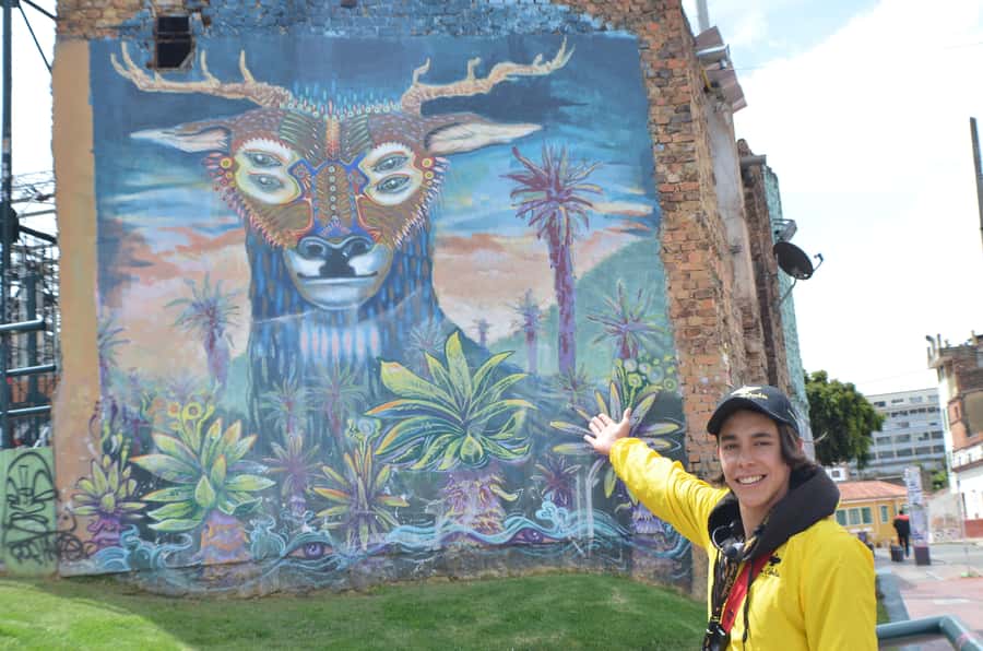Bogotá: La Candelaria Graffiti & Urban Art Guided Tour - Photo stops and how guides help you see what’s easy to miss