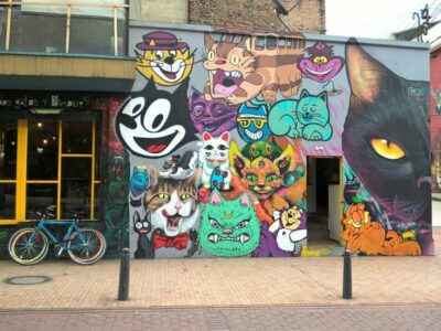 Bogotá Street Art and Graffiti Tour 3 Hrs - The Graffiti Story: From Expression to Commissioned Art