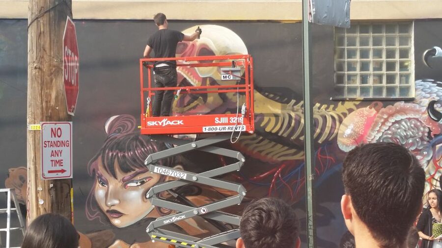 Brooklyn: Bushwick Street Art Walking Tour - Seeing the Process: From Wall to Mural