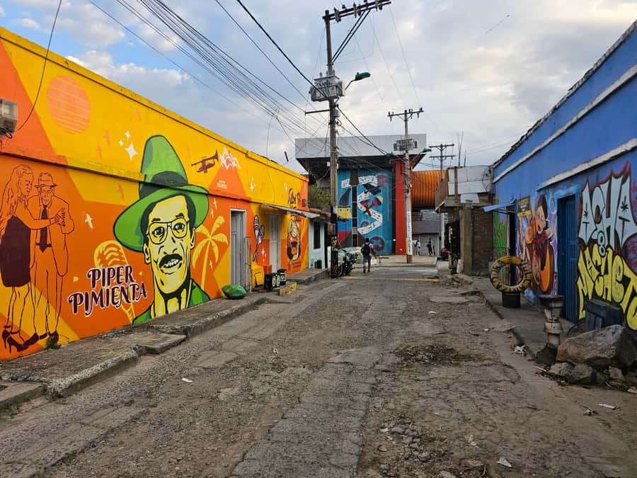 Cali: Comuna 20 Siloé Street Art Tour - Who Should Book (and Who Should Skip) This Street Art Walk
