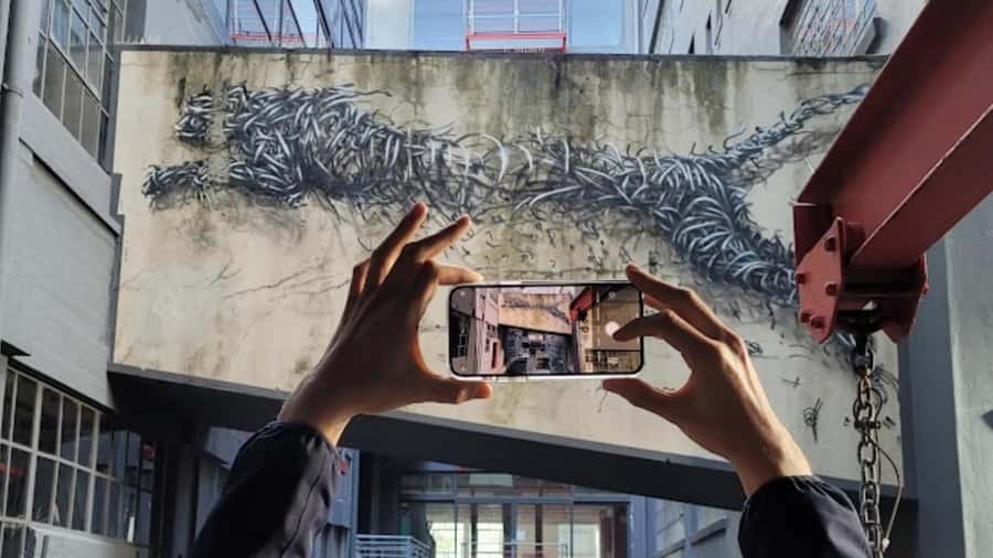 Cape Town: Inspiring sustainable change through Street Art - Your guide in the spotlight: Dauriq and the local touch