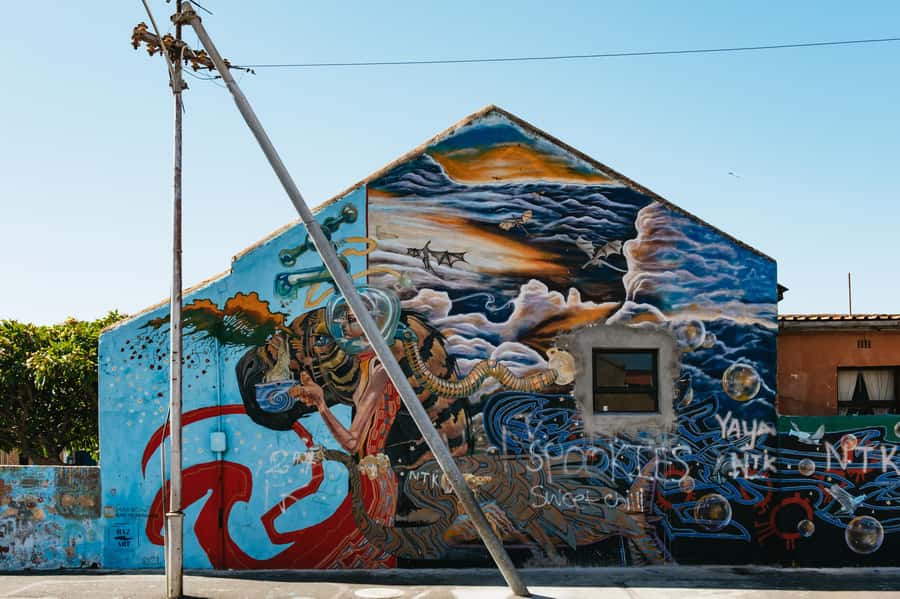 Cape Town: Street Art Walking Tour in Woodstock - Salt River Nature Park and the last photo walls near Salt River