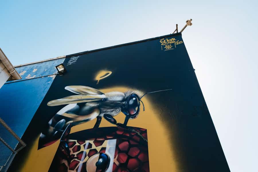 Cape Town: Street Art Walking Tour in Woodstock - Rain or shine: practical tips for a 2-hour walking tour
