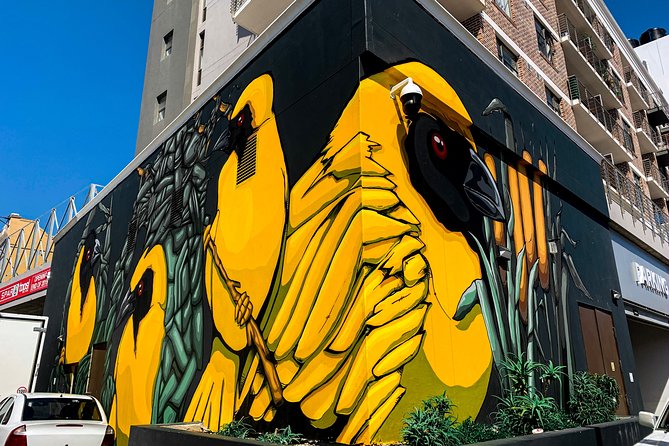 Cape Town Woodstock Street Art Walking Tour - Price and Value: Why $31.63 Often Feels Like a Bargain