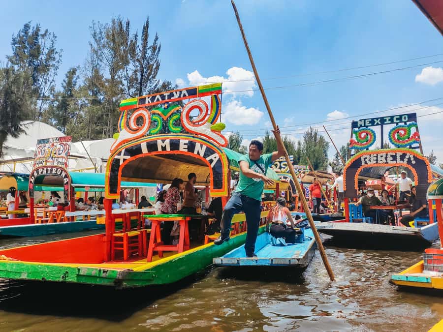 CDMX: Xochimilco, Coyoacan, Frida Kahlo Museum & Murals Tour - Key things you’ll notice on this tour