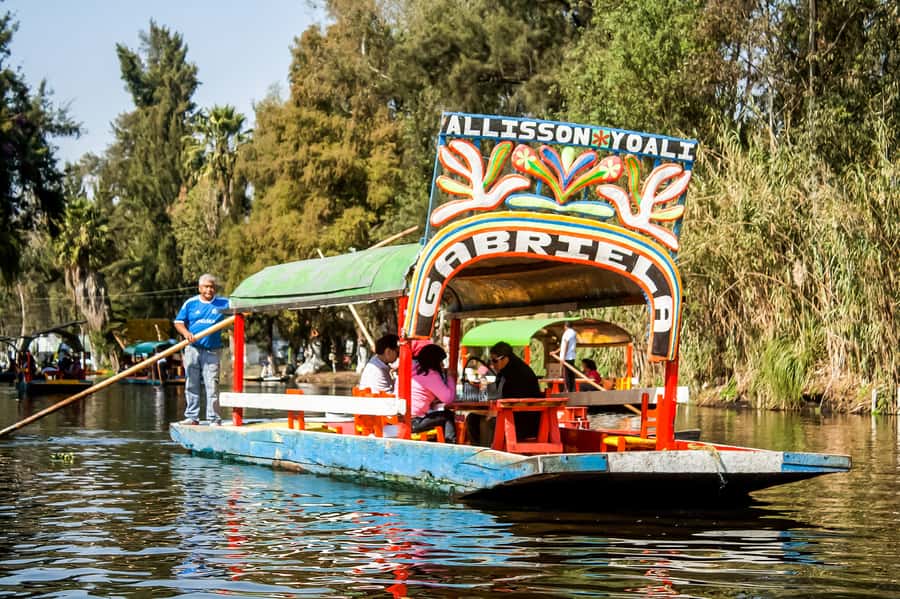 CDMX: Xochimilco, Coyoacan, Frida Kahlo Museum & Murals Tour - Making the most of the 10-hour schedule