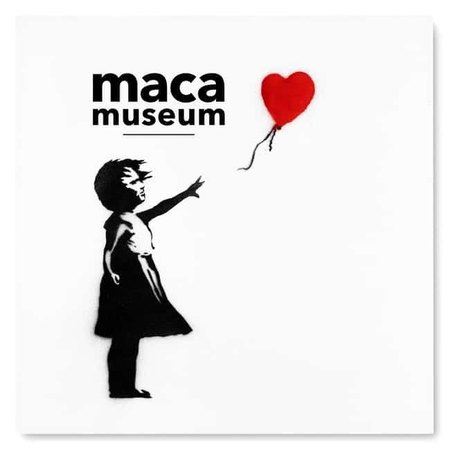 Copenhagen: MACA Museum: Banksy & Street Art Entry Ticket - Key points