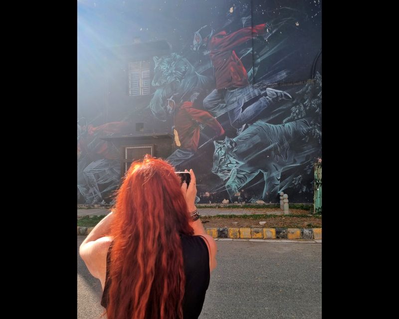 Delhi Street Art Tour: Explore the Murals & Visit a Stepwell - Who this tour fits best (and who should skip it)