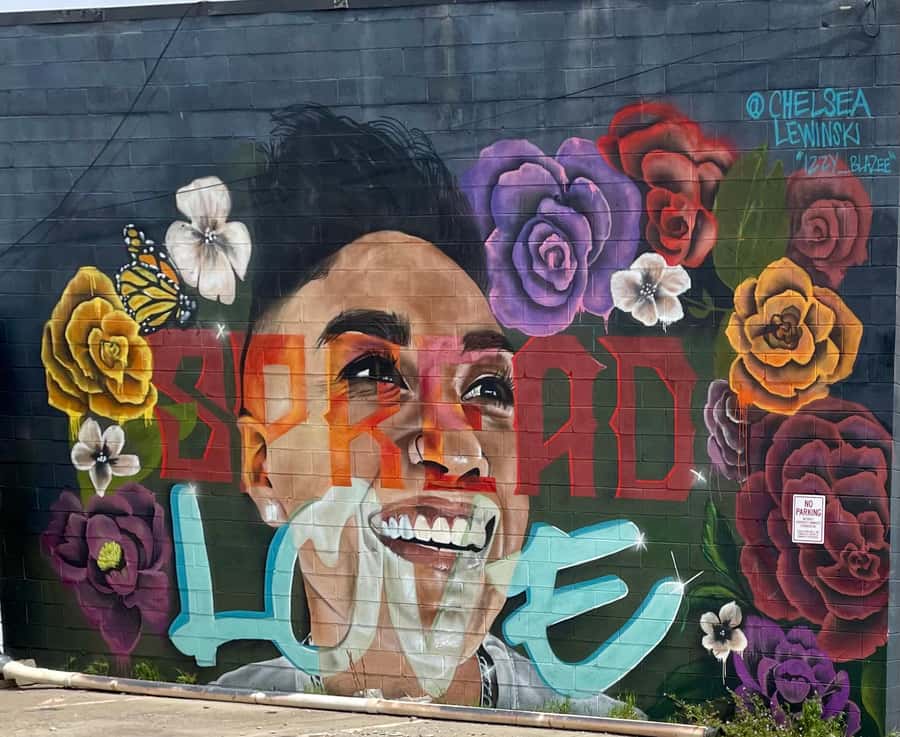 Denver: RiNo Art District Graffiti and Street Art Tour - Key things to know before you go