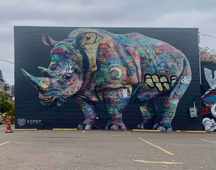 Denver: RiNo Art District Graffiti and Street Art Tour - Price and value: why $35 can feel like a deal