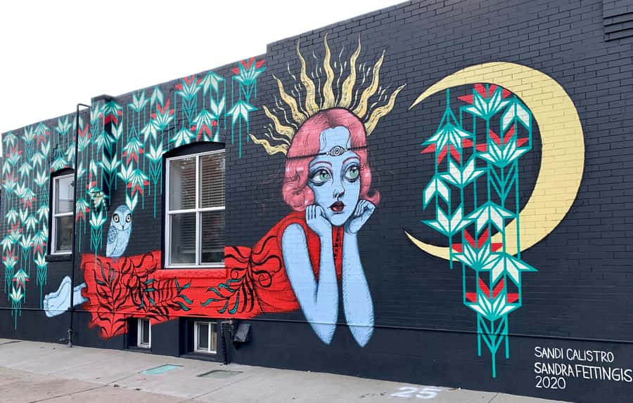 Denver: RiNo Art District Graffiti and Street Art Tour - Practical planning: shoes, layers, water, and cameras that earn their keep