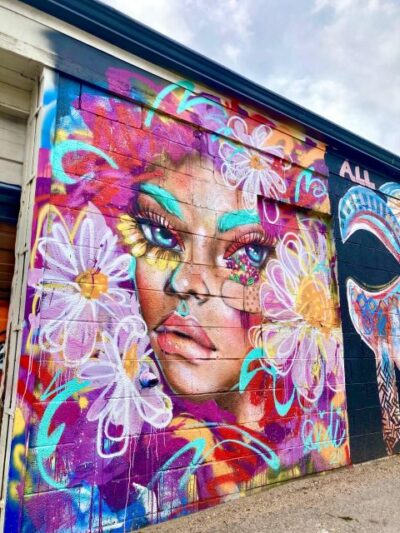 Denver Street Art & Murals Tour + Brewery Visit/Beer Tasting - Art Alleyway: the mural-watching skill you’ll leave with