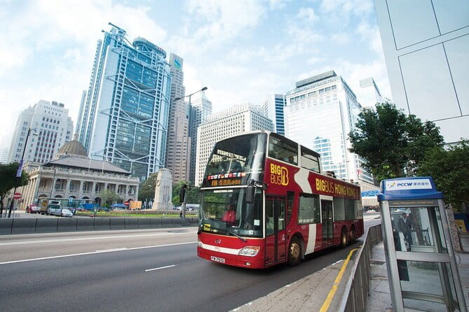 Discover the Best of Hong Kong Street Art - Private tour - Who this tour suits best (and who should think twice)