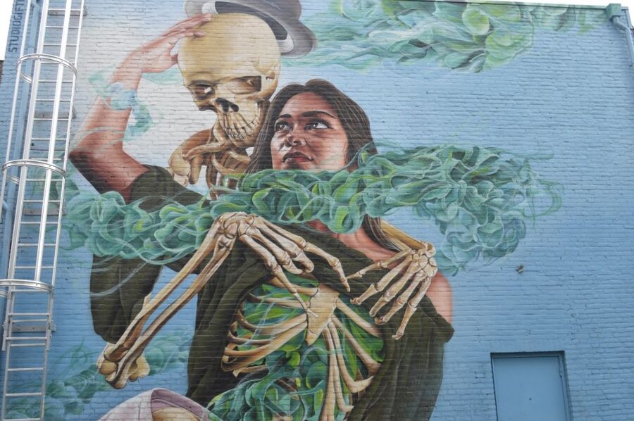 Eindhoven: Self-Guided Individual Street Art Tour - Who this self-guided Eindhoven street art tour fits best