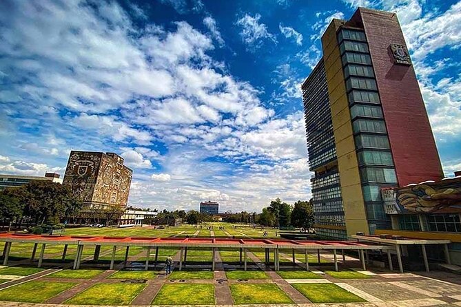 EXCLUSIVE TOUR: Murals+Ciudad Universitaria Stadium-small groups - Why Ciudad Universitaria Feels Like a Moving Museum