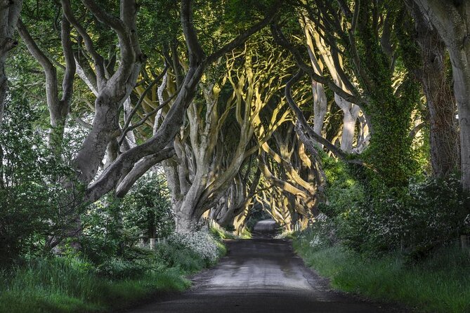 Giant's Causeway and Belfast City Murals Tour inc Game of Thrones Dark Hedges - Key things I’d circle before you book
