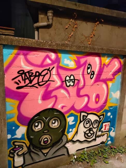 Graffiti in Tokyo Walking Tour: Shibuya and Harajuku - Should you book the Graffiti in Tokyo: Shibuya and Harajuku tour?