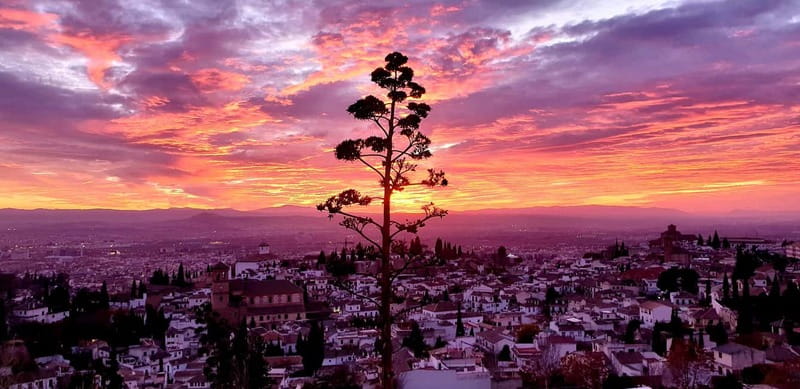Granada: "Street Art & The Caves" Unique Guided Walking Tour - Albaicín UNESCO Streets and Miradores: Alhambra Views Close Enough to Touch