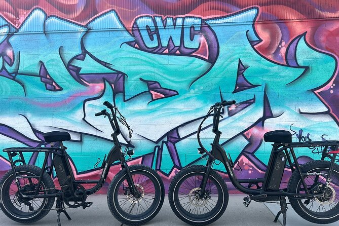 Guided Asheville E-bike Tour of River Arts, Mountains and Murals - Why this Asheville e-bike route feels easier than it looks