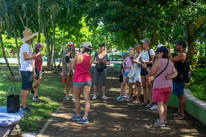 Guided Walking Street Art & Graffiti Tour in Jaco Costa Rica - Price and value: $39 for three art stops that add up