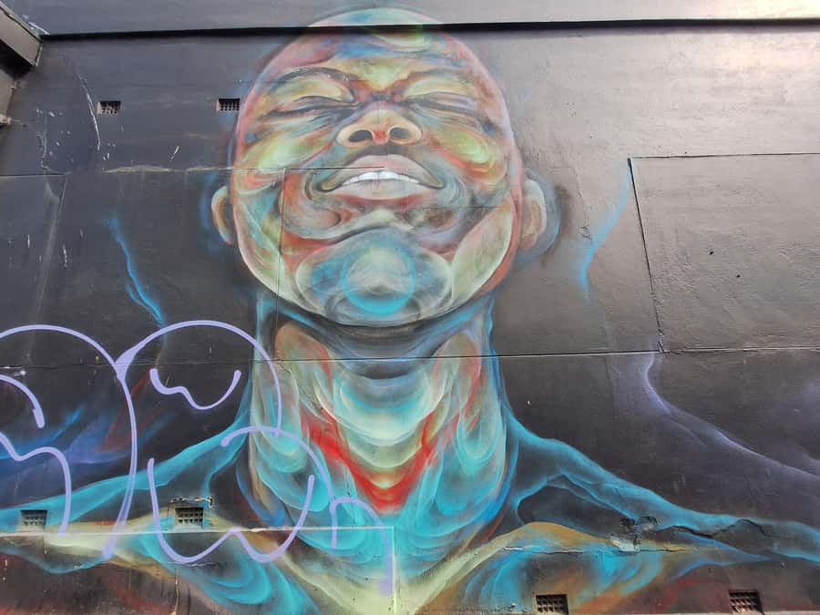 Hidden Adelaide: Laneways & Street Art Tour - Adelaide’s Smallest Door: A Weird Detail That Makes the Tour Memorable