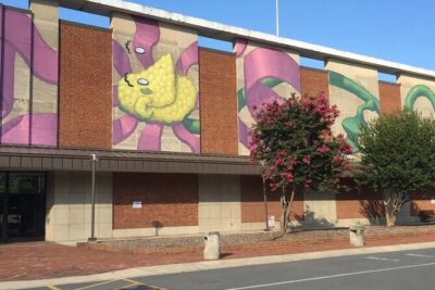 "In The Streets & Eats" Mural Art Tour Of Charlotte - Charlotte Visitor Information Center: quick orientation plus souvenirs