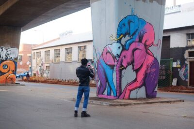 Johannesburg: Maboneng Street Art & Culture Tour - Maboneng Precinct murals: identity, resistance, and hope on the wall