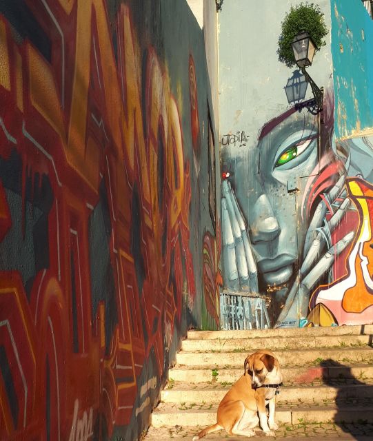 Lisbon Street Art Lovers Walk - Pace, walking hills, and who should take this tour