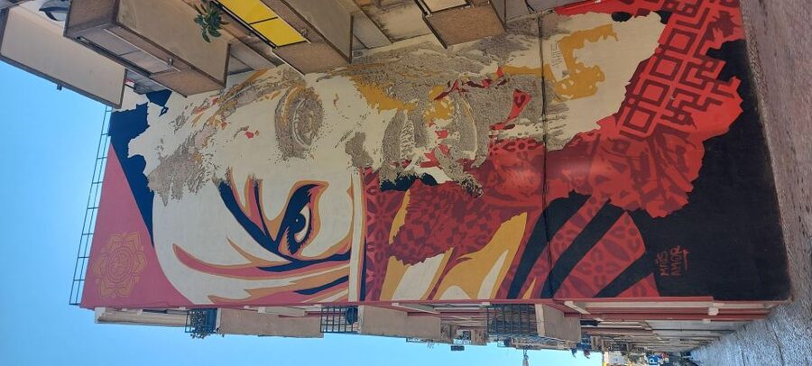 Lisbon Street Art Lovers Walk - The artists and techniques you’ll actually learn to spot