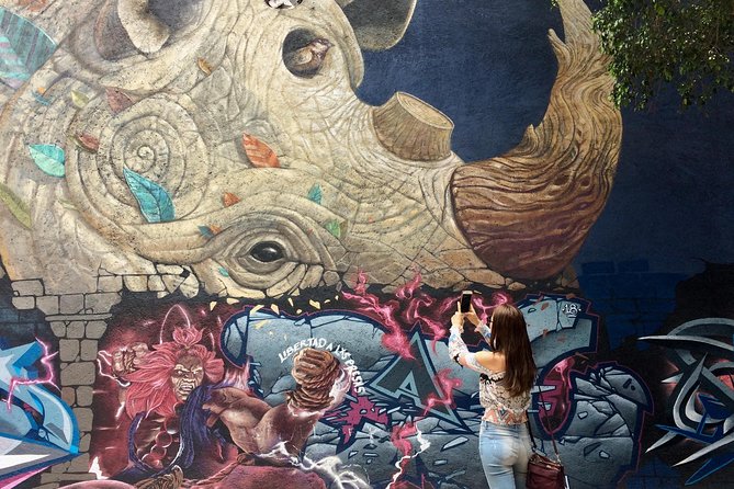 Mexico City Private Street Art Tour - Street Art Without the Usual Tourist Walk