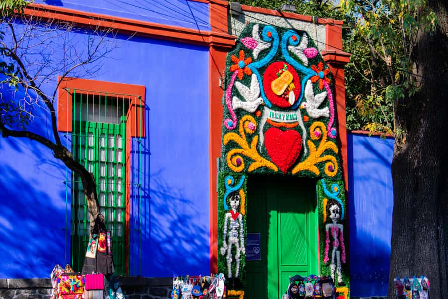 Mexico City: Xochimilco Coyoacan, Frida Kahlo & UNAM Murals - Price and What You’re Actually Buying for $89