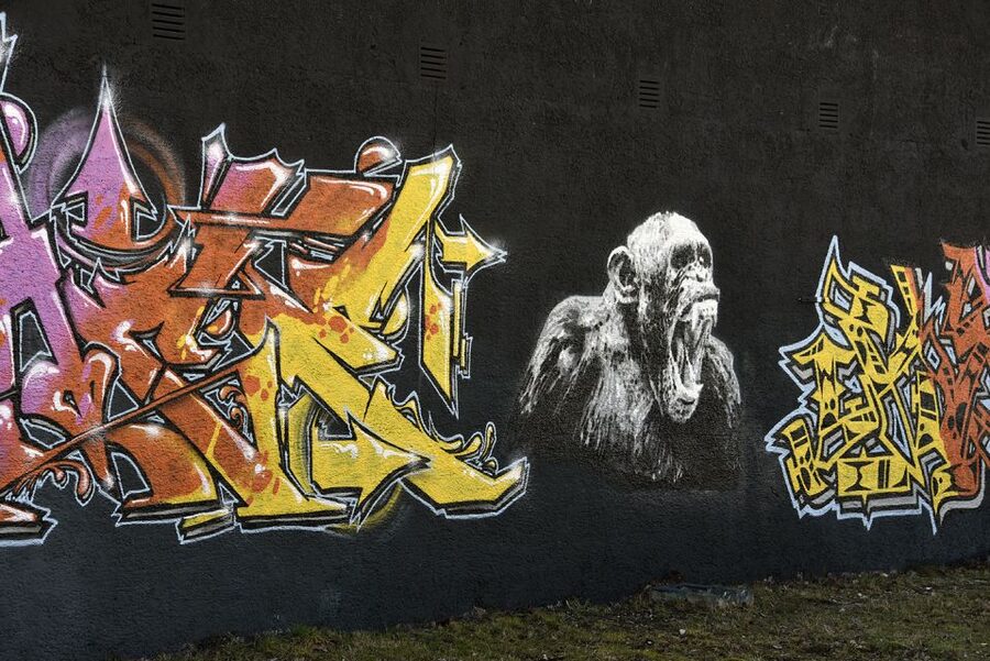 Munich: Street Art Bike Tour - What’s included: the practical stuff that actually matters