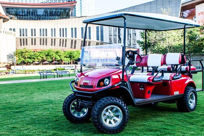 Murals of Nashville Instagram Tour by Golf Cart - Who should book this mural golf cart tour?