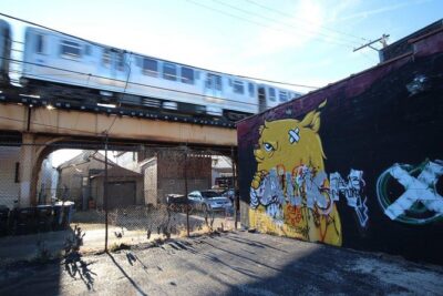 Offbeat Street Art Tour of Chicago: Urban Graffiti, Art, and Murals - Ipsento break: restroom, refreshments, and a small surprise