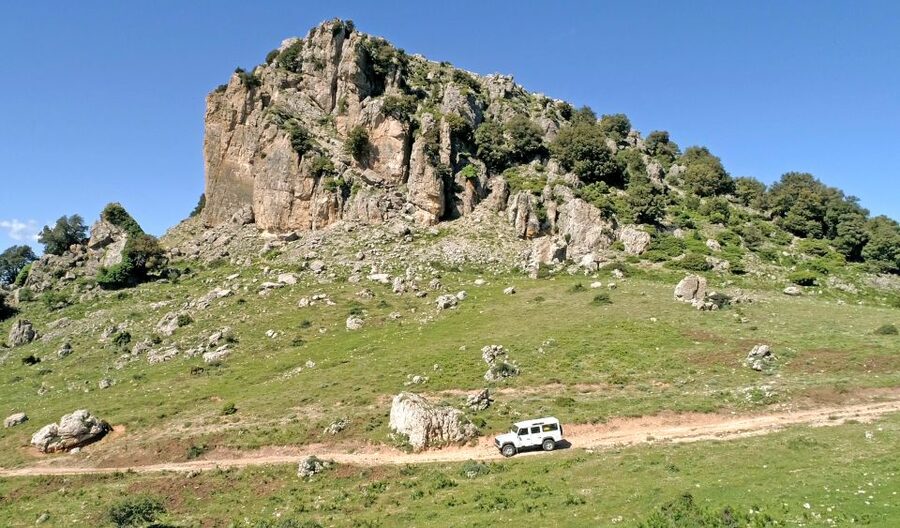 Orgosolo Experience: Murals and Culture with a typical Lunch - Shepherd lunch in the mountains: what you actually eat