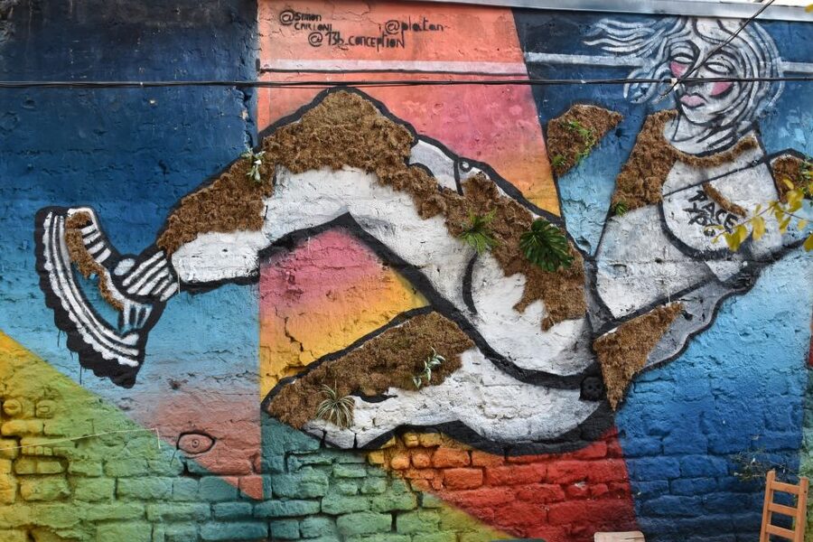 Paris: Belleville Street Art Tour with an Artist - The Belleville Story: from Early 1980s Squats to Today’s Wall Culture