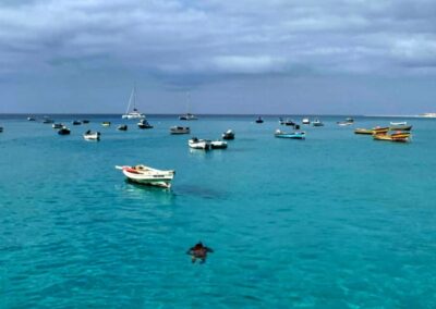 Sal island: Santa Maria city tour, street art and tapas - Hotel pickup in Santa Maria, Murdeira, or Espargos: smooth start, less hassle