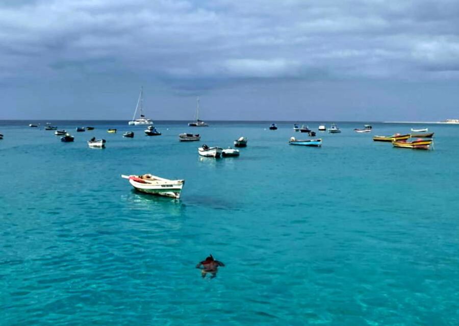 Sal island: Santa Maria city tour, street art and tapas - Hotel pickup in Santa Maria, Murdeira, or Espargos: smooth start, less hassle