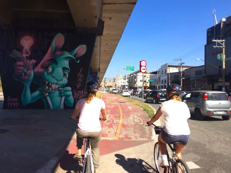 São Paulo: Street Art Bike Tour - Ibirapuera Park: Big-Air Walks and Culture Stops