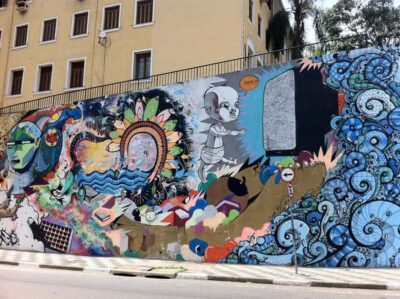 São Paulo Street Art Tour - Downtown to Vila Madalena: The Route That Shapes the Story