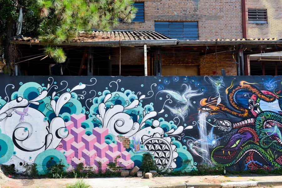 São Paulo Street Art Tour - What to Bring, Plus Key Rules That Affect Your Day