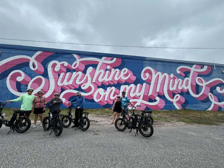 St. Petersburg, FL: Sightseeing & Murals Electric Bike Tour - Dali Museum and Albert Whitted Park: art fame meets airport action